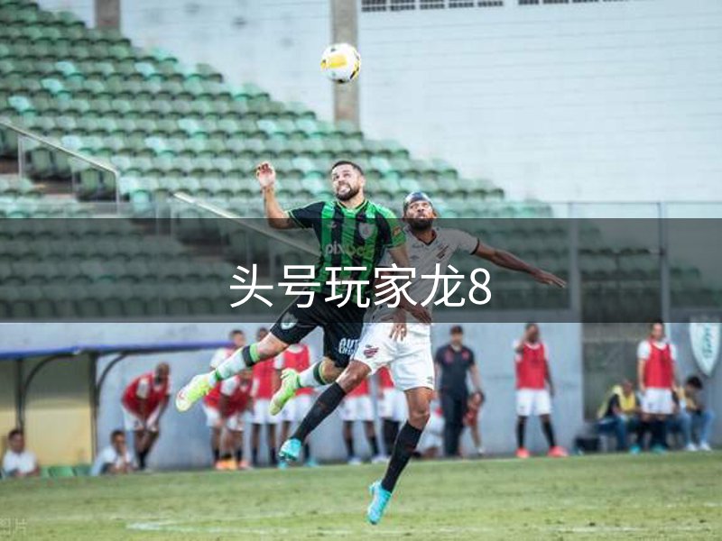 龙八(头号玩家)唯一官方网站